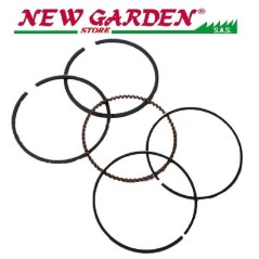 ZANETTI fraise série segment compatible ZBM270 B19.04.200 13010-ZE8-601 | NewgardenAgri.com