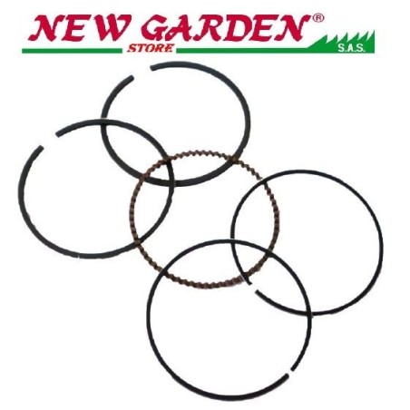 ZANETTI fraise série segment compatible ZBM270 B19.04.200 13010-ZE8-601 | NewgardenAgri.com