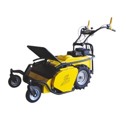 ROQUESETLECOEUR RL460B Faucheuse à fléaux de 60 cm avec moteur BRIGGS & STRATTON | NewgardenAgri.com