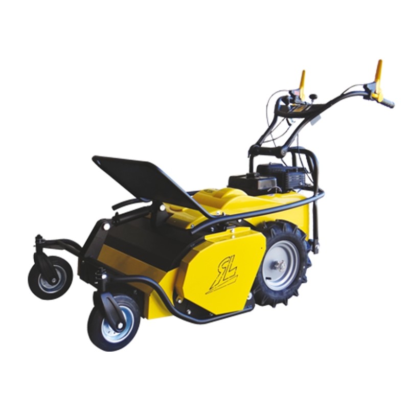 ROQUESETLECOEUR RL460B Faucheuse à fléaux de 60 cm avec moteur BRIGGS & STRATTON