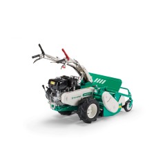 Self-propelled flail mower OREC HR812H engine HONDA 389cc working width 80 cm | NewgardenAgri.com