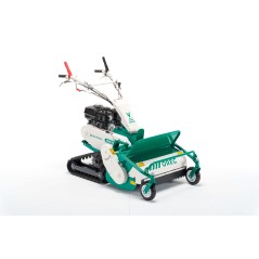 Self-propelled flail mower OREC HRC663 engine HONDA 270cc working width 65 cm tracked | NewgardenAgri.com