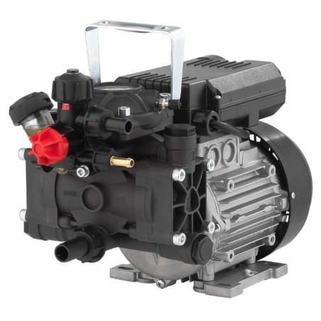 AR 202 EM pump with electric motor for spraying 88946 | NewgardenAgri.com