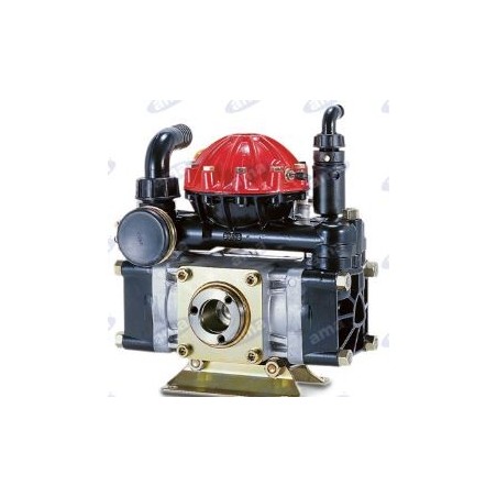 AR 50 SP 2 diaphragm pump for spraying 34170 | NewgardenAgri.com