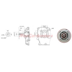 Motor completo ZANETTI DIESEL ZDX210L2 motocultor cilíndrico arranque manual | NewgardenAgri.com