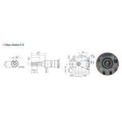 Motor de gasolina completo ZANETTI ZEN130L1 eje Ã˜ 15