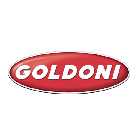 Clutch disc 41832 FOR GOLDONI 6.30.0101 Two-wheel tractors, transcars, transporters and tractors GG4 41832 002 | NewgardenAgr...