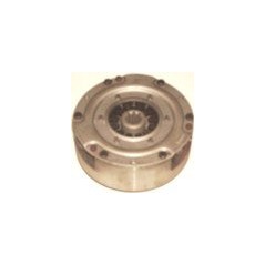 Clutch mechanism 56131 FOR FORT Two-wheel tractors, mowers and motor hoes PP5 56131 627 | NewgardenAgri.com