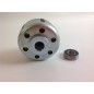 Multi-disc clutch 10hp motorhoe BL105 motor mower BENASSI SPA 15521