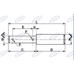 Universalbolzen Durchmesser 19-25mm für Ackerschlepper Anbaugerätekupplung