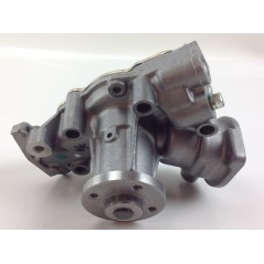 Engine water pump DAIHATSU TORO ORIGINAL BRIGGS & STRATTON 825265 | NewgardenAgri.com