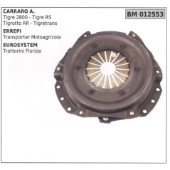 Clutch Plate for CARRARO A. ERREPI EUROSYSTEM 012553 | NewgardenAgri.com