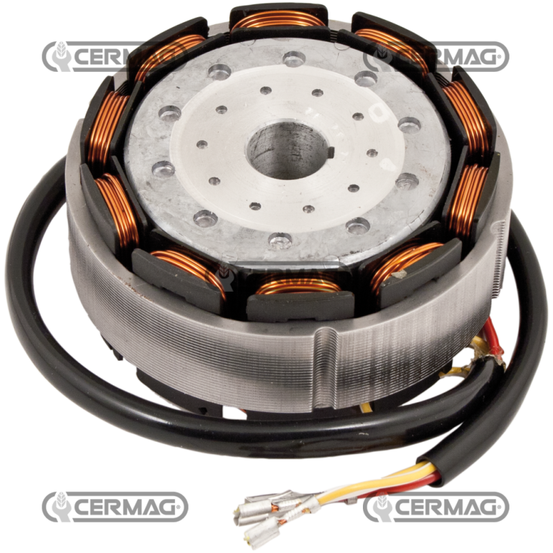 KOMPATIBLE LOMBARDINI RING-LICHTMASCHINE – 12182