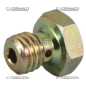 Bleed screw M10x1.5 for COMPATIBLE CAV filter cover - 11225