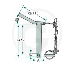 Bolzen für Unterlenker mit Kette und Splint 20012851 | NewgardenAgri.com