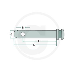 Axe de pivot pour bras de levage inférieur pour tracteurs UNIVERSAL 20012790 | NewgardenAgri.com