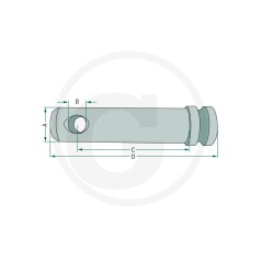 Axe de pivotement pour bras de levage inférieur pour tracteurs UNIVERSAL 20099033 | NewgardenAgri.com