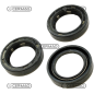 Oil seal ring Dimensions 40x55x8 mm Type BAU3SLX2 COMPATIBLE - 64429