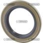 Anello paraolio Dimensioni 55x85x8 mm Tipo B1U4 COMPATIBILE - 65648