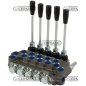 Distributore 5 leve predisposto per CARRY OVER Attacchi 3/8" Gas Circuito DE - DE - DE - DE - SE COMPATIBILE - 81587