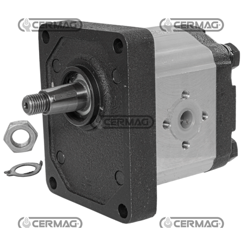 Pompe à engrenages GROUPE 2 Cône 1:8 Cylindrée 8 cc Rotation à gauche COMPATIBLE - 95133 Pompe à engrenages GROUPE 2 Cône 1:8 Cylindrée 8 cc Rotation à gauche COMPATIBLE - 95133
