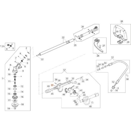 VITE ORIGINALE EMAK 3893016AR | NewgardenAgri.com