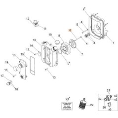 ORIGINAL EMAK SCREW 3901037R | NewgardenAgri.com