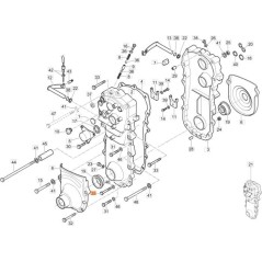 TORNILLO EMAK ORIGINAL 3806049 | NewgardenAgri.com