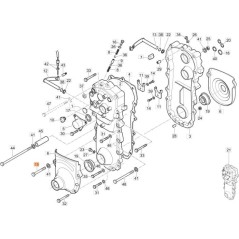 ORIGINAL EMAK SCREW 3906130 | NewgardenAgri.com