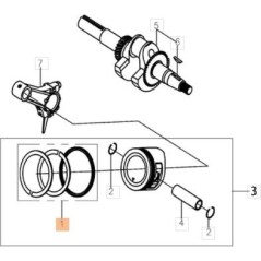 KIT SEGMENTI ORIGINALE EMAK L66151620 | NewgardenAgri.com