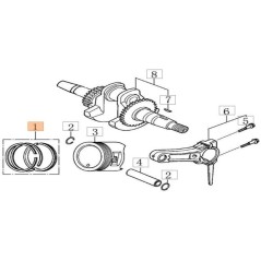 KIT DE SEGMENTS DE PISTON EMAK ORIGINAL L66152109 | NewgardenAgri.com
