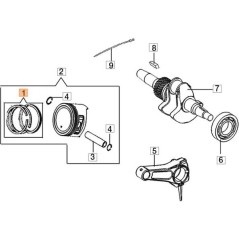 KIT SEGMENTI ORIGINALE EMAK L66150592 | NewgardenAgri.com