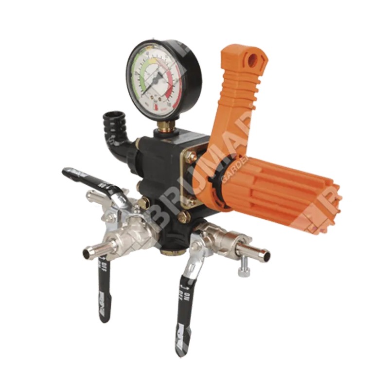Ensemble soupape de contrôle de pression pompe UNIVERSELLE Bertolini C 75P 014493