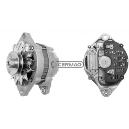 Alternator for agricultural tractor SAME antares argon aster buffalo | NewgardenAgri.com