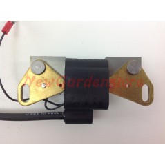 Ignition coil LOMBARDINI engines LA 400 490 010258 | NewgardenAgri.com