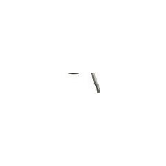 Molle per Spring Rake 50010009 ORIGINALE PERUZZO | NewgardenAgri.com