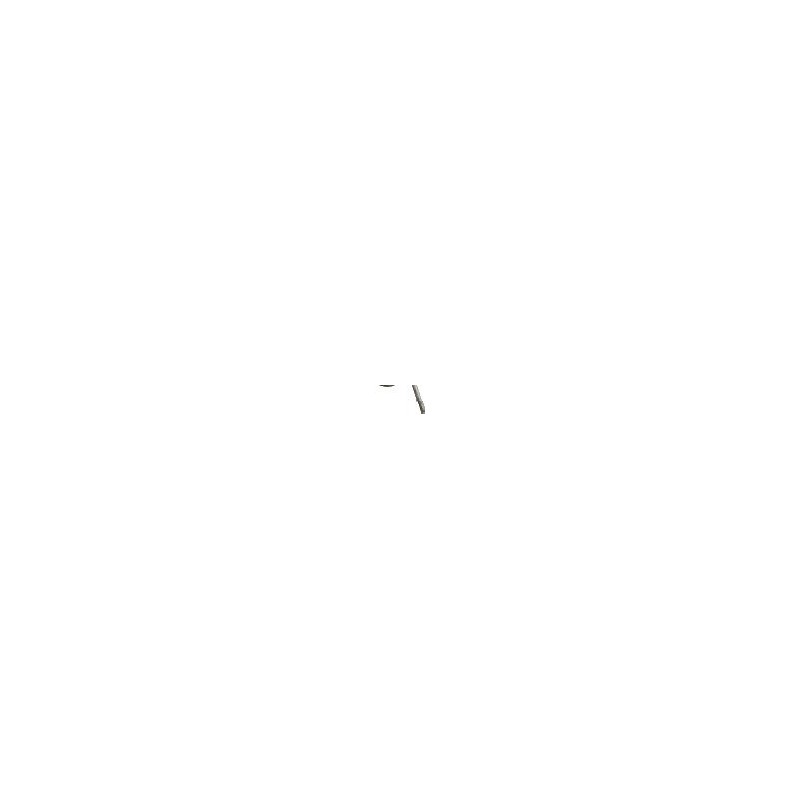 Springs for Spring Rake 50010009 ORIGINAL PERUZZO