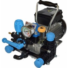 2 membrane electric pump with electric motor for irrigation 91560 | NewgardenAgri.com