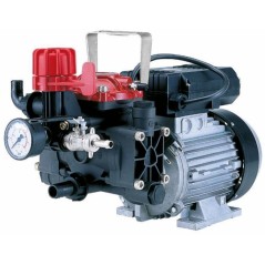 AR 252EM electric pump with single-phase electric motor for spraying 34164 | NewgardenAgri.com