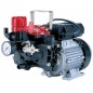 AR 252EM electric pump with single-phase electric motor for spraying 34164