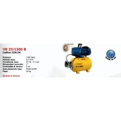 Elektropumpe Autoklav VB 25/1300 B ELPUMPS 1300 Watt | NewgardenAgri.com