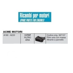 Filtro de aire 11737 ACME motor A180 A220 filtro de panel masa 387157 | NewgardenAgri.com