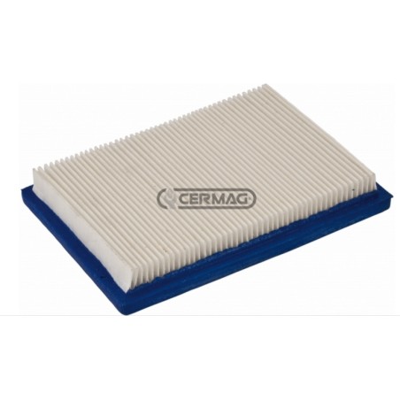 Panel air filter for BRIGGS & STRATTON 2-stroke engine 4 Hp - 3.5 max | NewgardenAgri.com