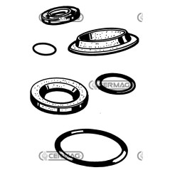 Anillo de sellado de aceite. Dimensiones: 75x100x17 mm. Tipo: LDT2D. Material: Viton 11000. | NewgardenAgri.com