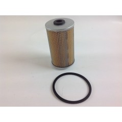 Submerged naphtha fuel filter for RUGGERINI rd951/2 crd100/2 engine | NewgardenAgri.com