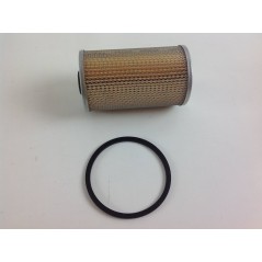 Filtre à carburant naphta immergé pour moteur RUGGERINI rd951/2 crd100/2