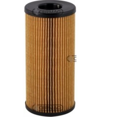 Filtro motor diesel maquina agricola MASSEY FERGUSON MF481 - MF492 - MF5425 | NewgardenAgri.com