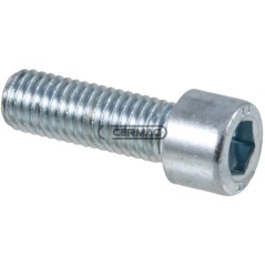 Vis à tête hexagonale creuse, zinguée blanche, filetage M14x2x40 mm, 64822 | NewgardenAgri.com