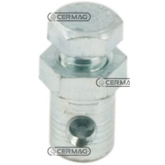Morsetto esagonale con pastiglia e vite in testa Diametro cavo 2 mm 62991 | NewgardenAgri.com