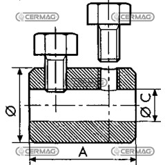 Terminal with double lateral screw Cable diameter 4 mm 62985